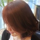 헤라미용실 - 남동구 논현동 | 헤라미용실