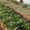 소슬농장 이미지