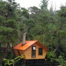 트리하우스 이미지