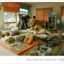 한생명 느티나무 이미지