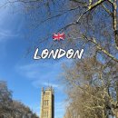 대영할인마트 | 런던 여행 물가 현실 후기, 절약 꿀팁 총정리