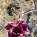 청마기념관 이미지