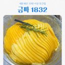 금파1 | 금파1832 김포 망고빙수 맛집 10번 이상 또간집