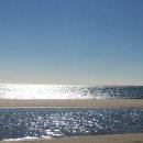 밀영어행정사사무소 이미지