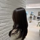 범계 미용실 추천 :: 하오비 범계본점 레이어드 C컬펌 후기