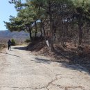 토속합천황토한우프라자 이미지