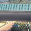 달서별빛캠프 캠핑장 | 대구 근교 캠핑장 달서별빛캠프 전기사용가능 숲속캠핑장 11번