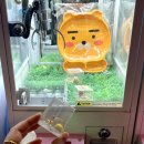 KING뽑기 이미지