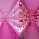 에이치엘비파워(주) 이미지