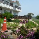 월포주유소 이미지