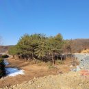 보평농장 이미지