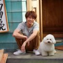 (주) 보쿠 이미지