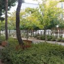 황금알 pc방 이미지