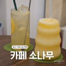 카페;수제청 | 일산호수공원 가로수길 카페 소나무 수제청에이드 젤라또 후기