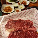 경인동물농장 이미지