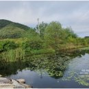 경안천 운학동 이미지