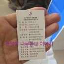 뉴신세계마트 | 서면 ABC마트. 안정화 러닝화 가성비구매. 아울렛 같네. 써코니 템퍼스2 구입.