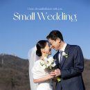 호텔 YOU | 안토 호텔 직계웨딩 후기 (구 파라스파라 서울) 스몰웨딩전문 노미래스냅과 함께한 리조트 결혼식