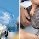 깨끗한자동차나라 이미지