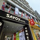 쁘띠네일 - 완도군 | 서울 명동 가성비 2만원대 당일예약 가능한 네일샵 쁘띠속눈썹 내돈내산 후기