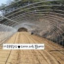 가곡농장 이미지