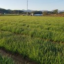 소은농장 이미지