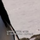 지오그라피