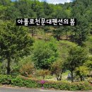 수피령로 | 화천군 사내면 분위기좋은 카페,잔미술관카페 다녀온 후기(feat.타로점,관상사주건강상담)