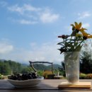 솔안농장 이미지