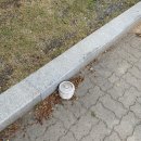 학암포자동차야영장 이미지