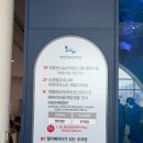 생태교육센터숲터 | [시흥] 해양생태과학관 16개월 아기랑 가볼만한 곳 후기