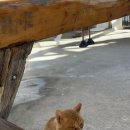 삼포슈퍼 이미지