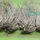 월암농장 이미지