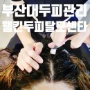 웰킨호텔 | 부산대두피관리 웰킨두피탈모센터 부산대점