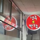 창원 사파동 막창 단골 맛집 진짜 맛있는 경주생막창 내돈내산 먹고 온 후기