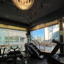 팀현gym 이미지