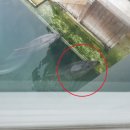 돌고래회관 이미지