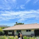 어 타이니 리틀피스 이미지