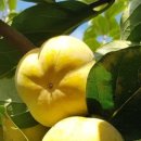 병영농장 이미지