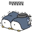 주식회사 일등 이미지