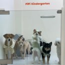 소심유치원 이미지