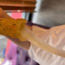 롯데리아부천시청역점 이미지