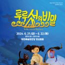 루루섬의 비밀 이미지