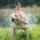 요가와 명상 1 이미지