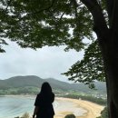 상주은모래비치 주차장 이미지