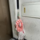 22개월 아기랑 제주 신라 여행