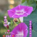 싼게 비지떡의 유래ㅡ속담의 어원ㅡ 이미지