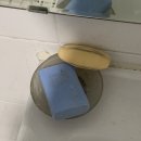 국수나무 매곡점 이미지