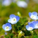 구월4동-27 이미지