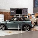 컨트리애견 이미지